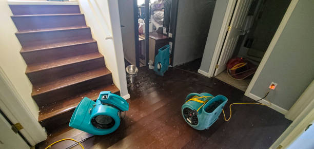 Best Water damage restoration specialists  in Homosassa Springs, FL