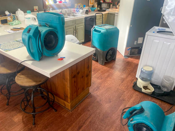 Best Fire Damage Restoration  in Homosassa Springs, FL