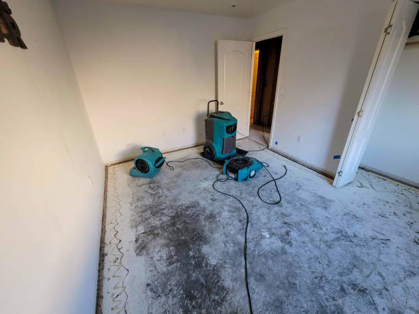 Best Commercial water damage restoration  in Homosassa Springs, FL