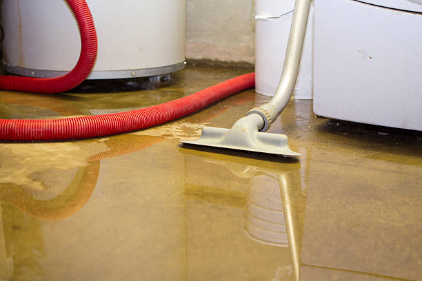 Best Water damage contractors near me  in Homosassa Springs, FL