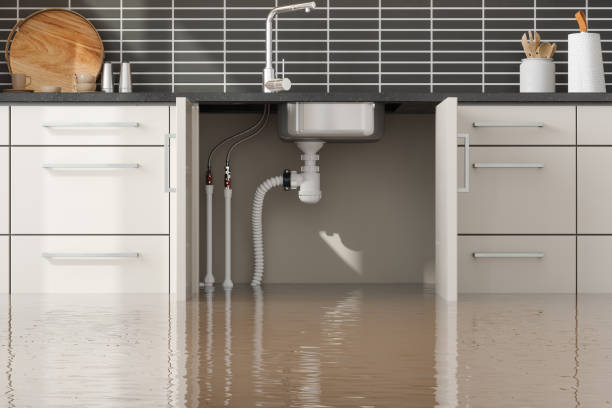 Best Fire Damage Restoration  in Homosassa Springs, FL
